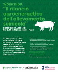 immagine evento 684