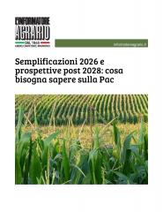 immagine evento 1733