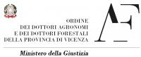 logo VI