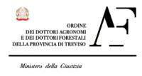 logo TV